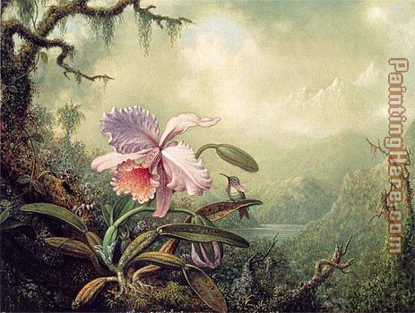 Heliodore's Woodstar and a Pink Orchid painting - Martin Johnson Heade Heliodore's Woodstar and a Pink Orchid art painting